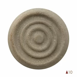 259 C10