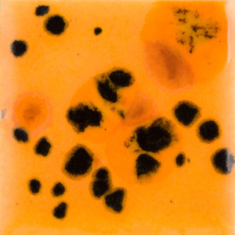 CG1013