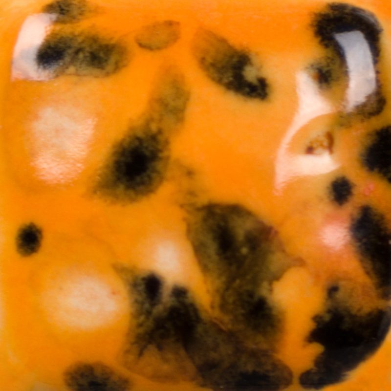 CG-1013 Papaya - Image 2