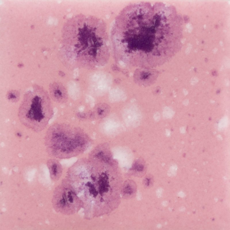 CG1014