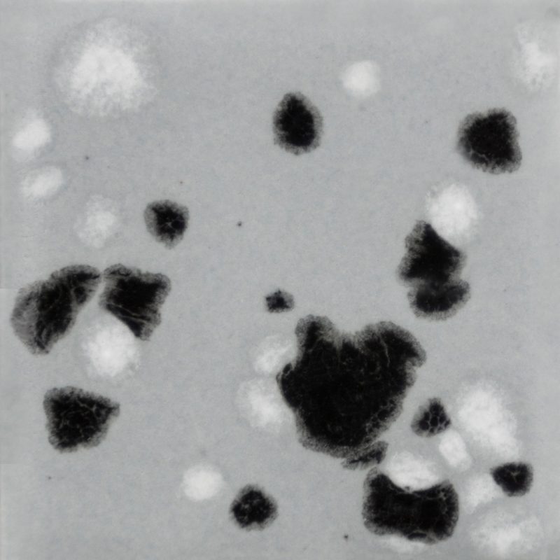 CG1016