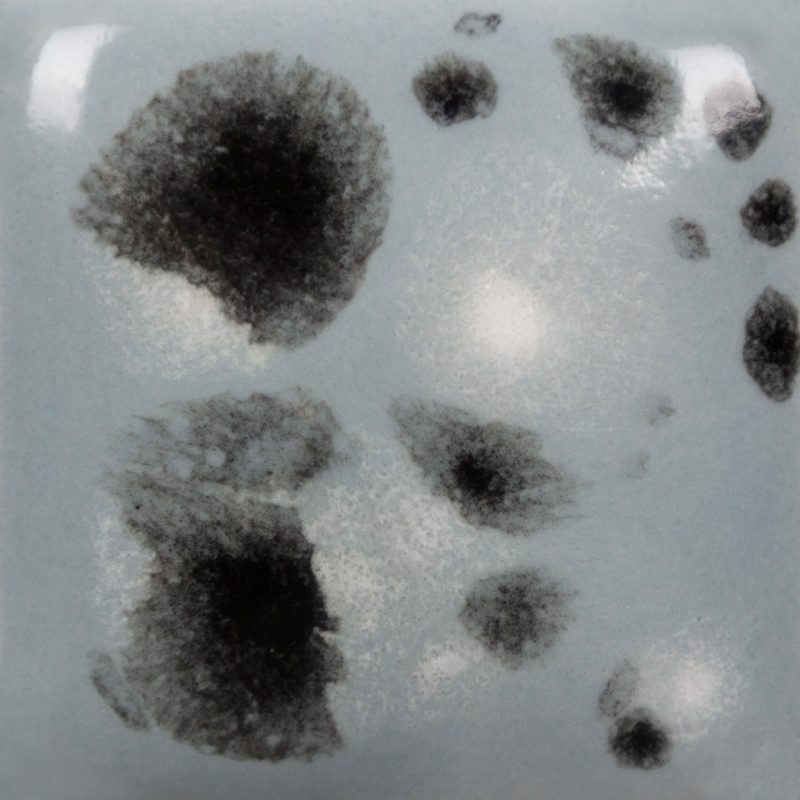 CG-1016 Asteroid - Image 2